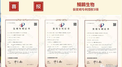 熊猫生物 | 核心平台技术获得中国发明专利