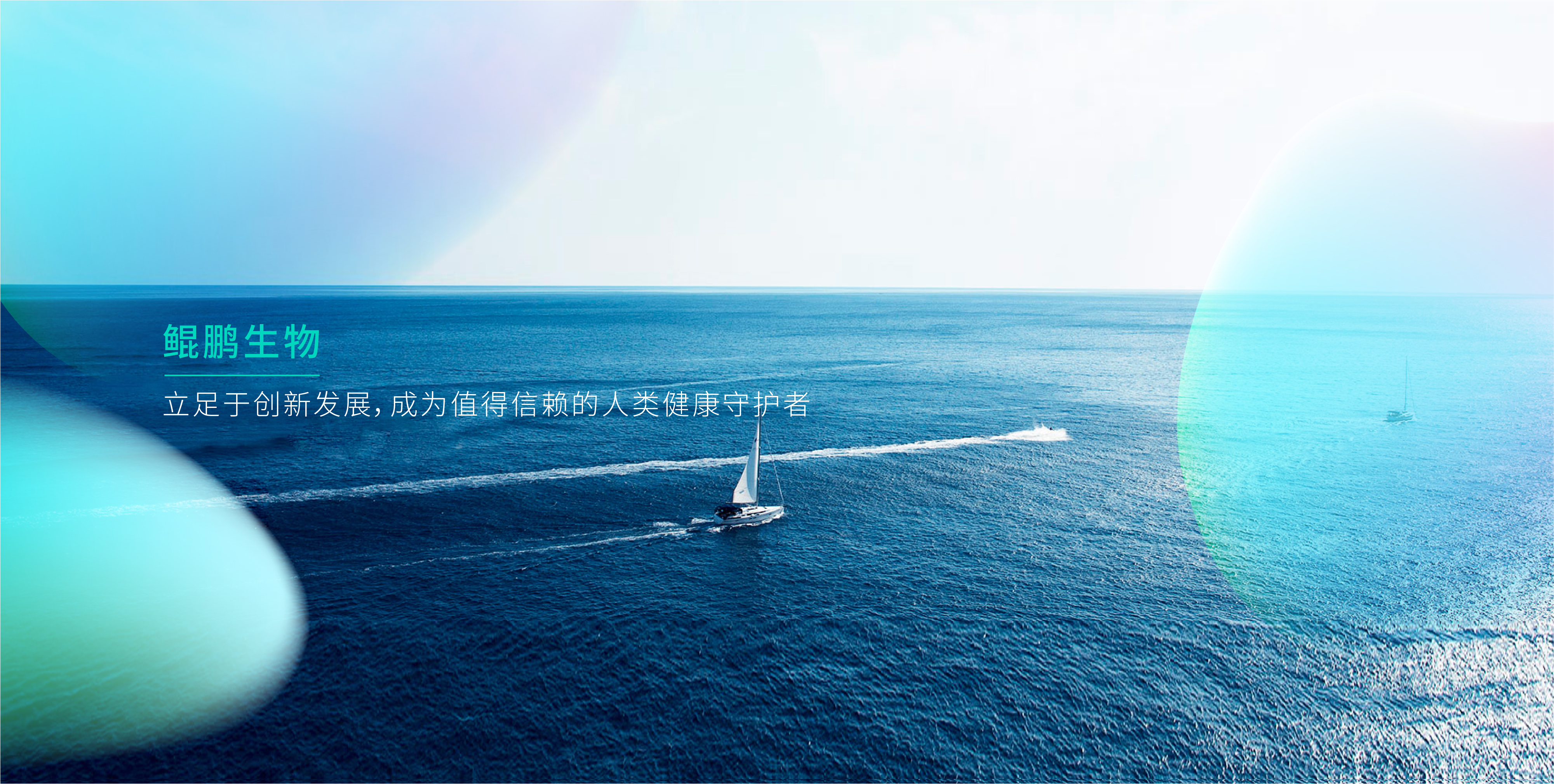 熊猫生物_熊猫生物