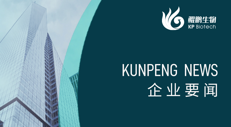 科技引领 “兔”显创新——宁波熊猫荣获“高新技术企业”及“创新型中小企业”认定