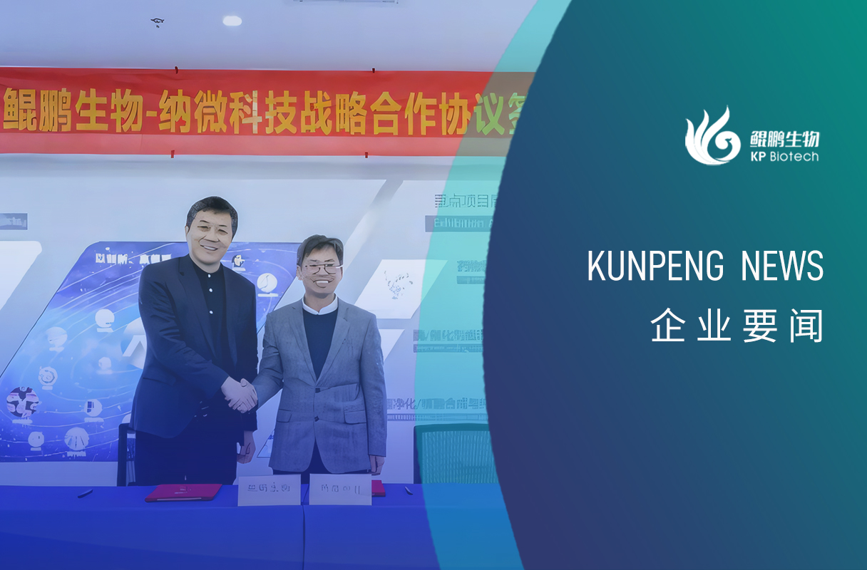 熊猫体育-联环集团组织开展入党积极分子培训班